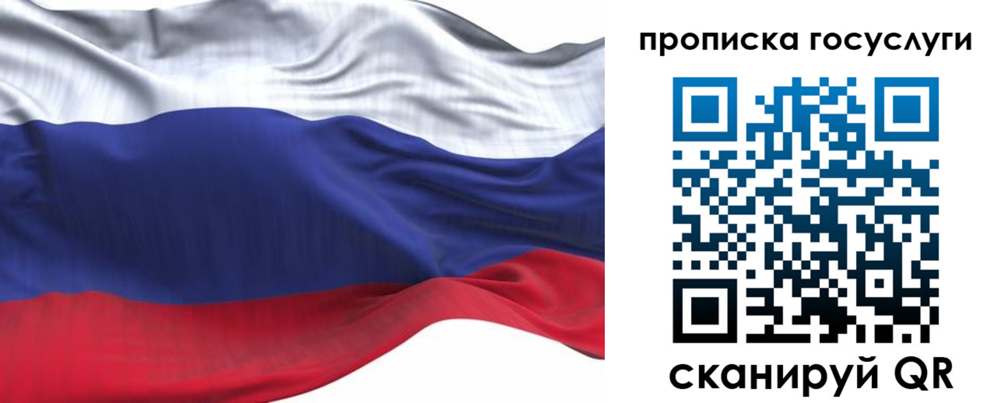 прописка для школы в Плавске